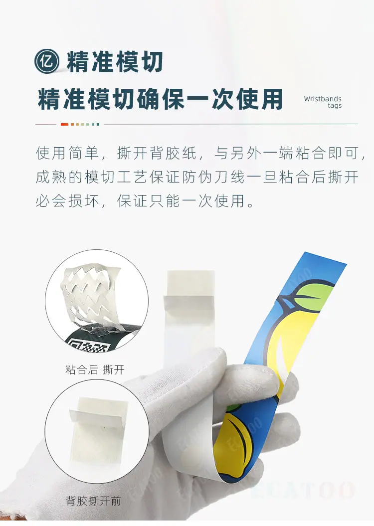 PP纸3.jpg