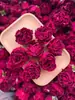 Yunnan 2026 Primera Remesa Flor Roja Nueva Rosa Té Saludable Flor de Rosa Liofilizada Set de Regalo Enlatado Al Por Mayor