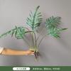 Decoración de pared de planta de simulación de interior, colgante de pared de planta verde, eneldo verde, caparazón de tortuga, maranta, colgante de pared de fondo para el hogar, hoja verde