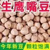 Grão de bico cru fresco, uma especialidade de Xinjiang, é usado para fazer leite de soja.. São um grão integral, são macios e fáceis de cozinhar, e têm grãos cheios.