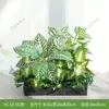 Combinación de paisajismo con plantas verdes artificiales, jardineras, maceteros, decoraciones de flores artificiales, decoración de paisaje con plantas artificiales para escaparates de centros comerciales, interior y exterior