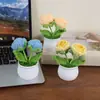 Flor de ganchillo tejida a mano rosa burbuja planta en maceta decoración de escritorio regalo creativo colgante de flor de hilo