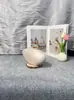 Bolsa de Regalo para Fiesta de Moda Estilo Europeo y Americano Acrílico Brillante Forma de Huevo de Ganso Bolso Cruzado de un Solo Hombro Personalizado Bolso de Mano para la Cena para Mujeres