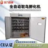 Suministro de Comercio Exterior Incubadora de Avestruz de Temperatura Constante Incubadora de Huevos de Emú Incubadora de Avestruz Inteligente Totalmente Automática Personalizada