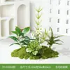 Flores Artificiales y Plantas Verdes Hy-Ay8 para Paisajismo, Arreglos Florales, Plantas Falsas para Decoración y Exhibición en Centros Comerciales, Escaparates de Tiendas y Hermosas Exhibiciones