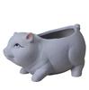 Maceta de cerámica para animales pequeños de hogar nórdico moderno, para interiores, creativa, simple, para escritorio, ventana, artesanías, adornos