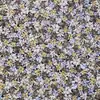 6570 Algodón 100% Artesanal 60 Popelina Fondo Completo Flores Pequeñas Dispersas Tela para Camisa Estampada Reactiva Venta al por Mayor