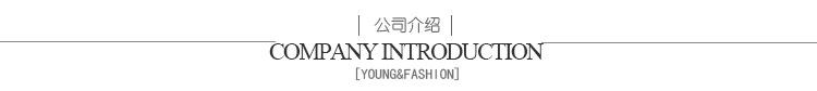 公司介绍.jpg