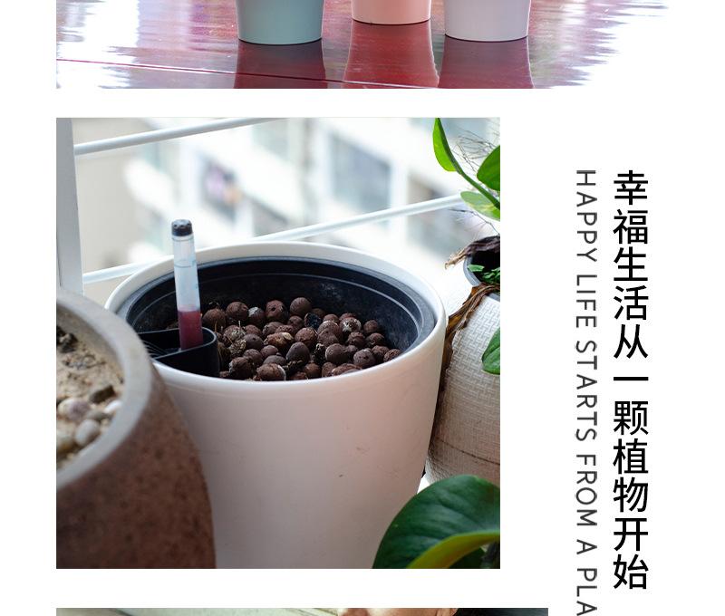 创意花盆