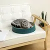 Personalización en Lotes Pequeños Tablero Redondo para Rascar Gatos Juguete Nido para Gatos Nido para Gatos de Alta Densidad Resistente a los Arañazos y al Desgaste Suministros para Gatos