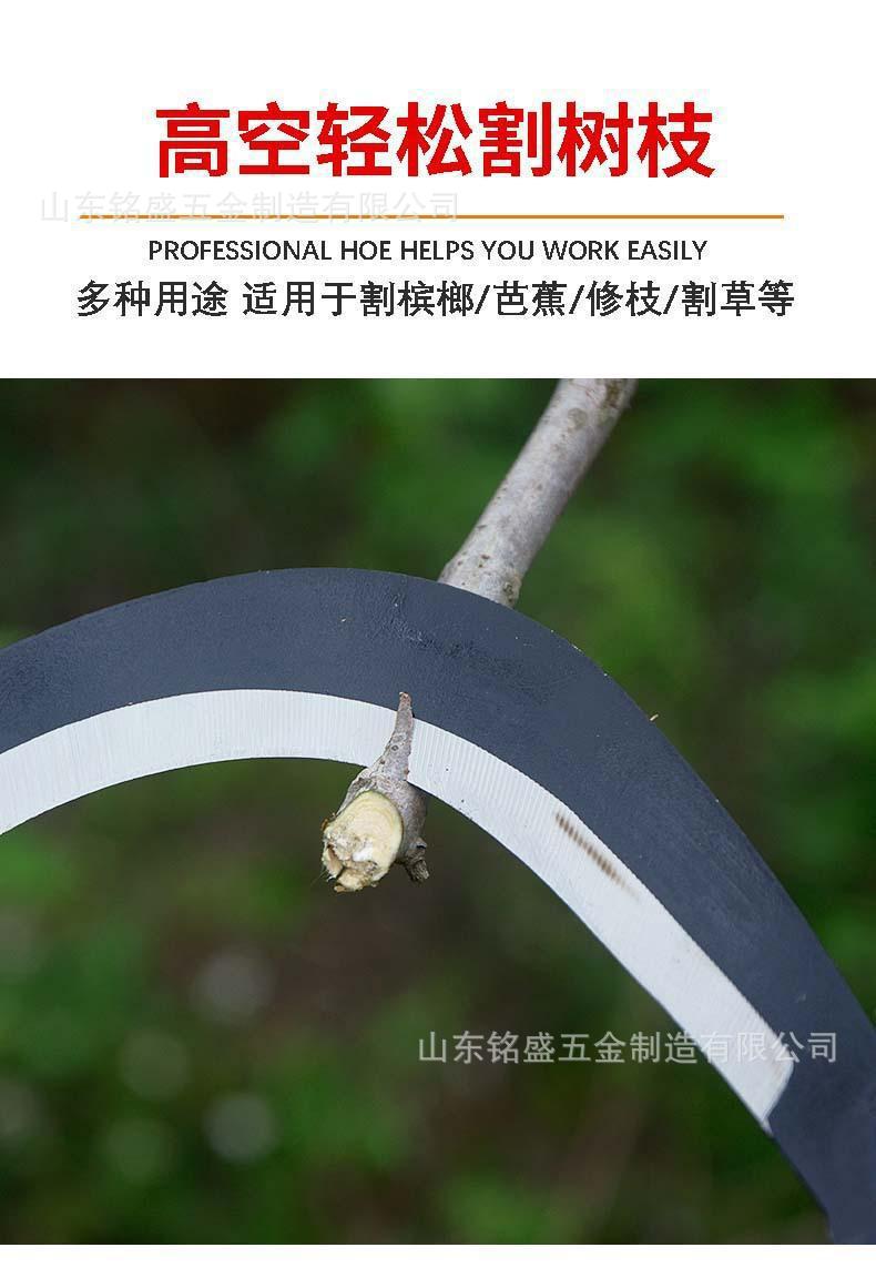 详情-2.jpg?x-oss-process=image/format,png