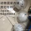 Globo Luminoso Transparente de Celebridad de Internet con Luz Bola de Dibujos Animados para Niños Juguete de Puesto Flash Explosivo Bola Bobo de Mercado Nocturno