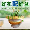 Molde Criativo para Vaso de Flores Vaso Europeu Oval Bonsai Modelo de Plástico Cimento Extra Grande Abrasivos Pequena Planta em Vaso Caseiro