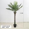 Planta Verde Artificial en Maceta Árbol Sangre de Dragón de Hoja Estrecha, Agave, Árbol de Yuca, Cola de Caballo Aguja de Hierro Girasol, Árbol de Hierro Decoración de Ventana