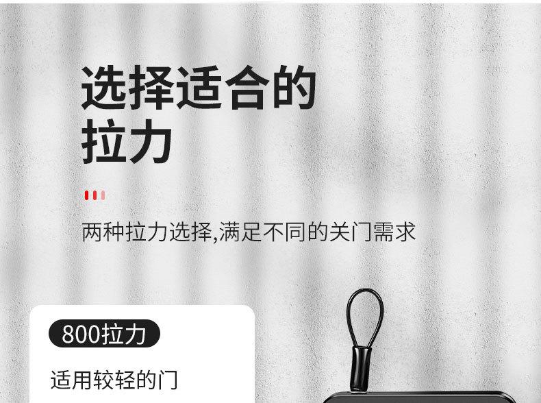 阻尼缓冲款闭门器_07