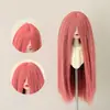 Peluca para Muñeca BJD, Cabello Largo Recto Suave Tipo Seda con Flequillo Largo, Cabello Personalizable para Muñecas de 346 Puntos, Accesorio para Vestir