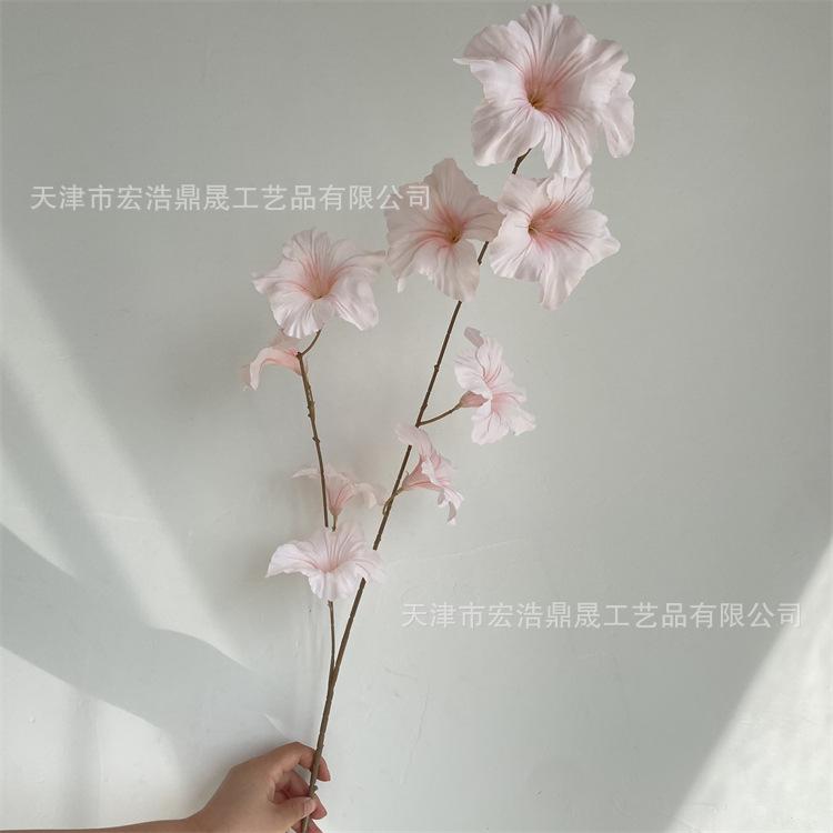 微信图片_202209081728231