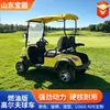 Suministro transfronterizo de carritos de golf de combustible, vehículos escénicos turísticos, vehículos de recepción de hotel, carritos de golf de 2 plazas