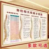 Gráfico de Puntos de Acupuntura de Moxibustión de los Cinco Órganos y Seis Entrañas del Cuerpo Humano Gráfico de Pegatinas de Puntos de Acupuntura de Meridianos Espalda Póster de Espalda Gráfico de Reflejología Espalda