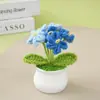 Producto Terminado Creativo: Planta en Maceta Tejida a Mano de Hilo Nomeolvides, Decoración de Escritorio, Regalo para Compañeros de Clase y Maestros Durante la Temporada de Graduación