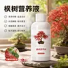 Fertilizante Específico para Arce Rojo Original Solución Nutritiva Fertilizante Árbol de Arce Arce en Maceta Hojas de Arce Planta de Hogar Líquido Concentrado Universal