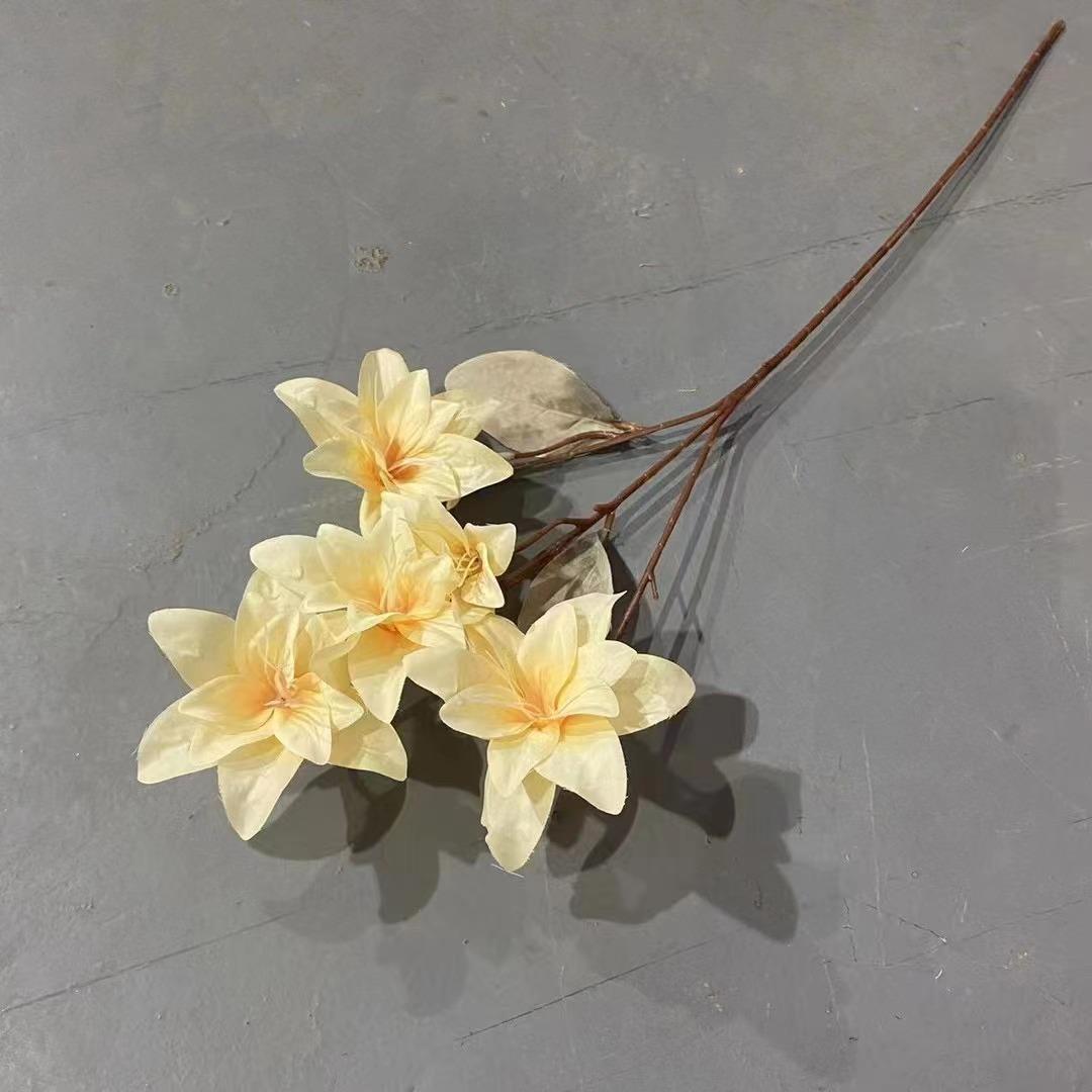 微信图片_20230821103036