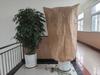 Capa de Proteção contra Frio para Plantas de Tecido Não Tecido Xiangshuo de Anhui para Árvores Frutíferas no Outono e Inverno, Cobertura Térmica Espessada, Saco de Proteção contra Frio