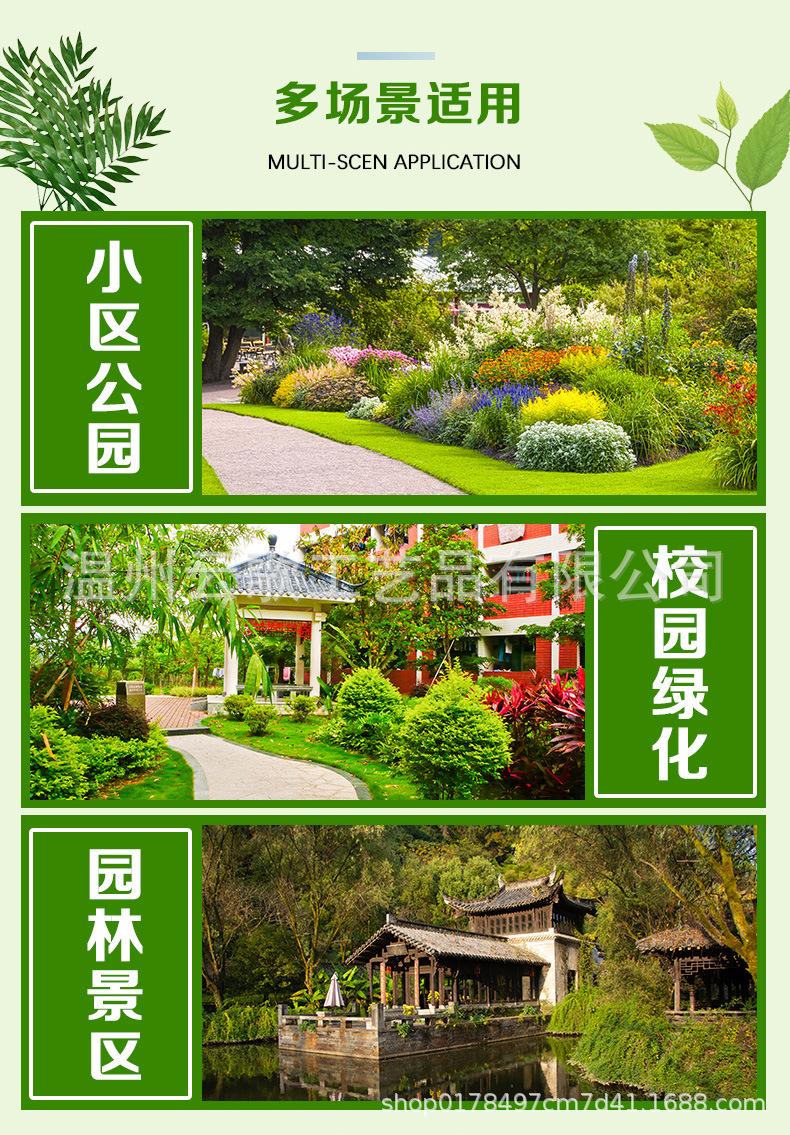 树牌_15