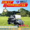 Carrito de Golf Eléctrico Atracción Turística Coche de Cuatro Ruedas para Paseos Venta Directa de Fábrica Exportación de Comercio Exterior 4 Plazas Transfronterizo