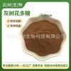 SC Factory en stock Polisacárido de Grifola frondo Soluble en Agua Grado Alimenticio Extracto de Grifola frondo 20% ~ 50% Polisacárido de Grifola frondo