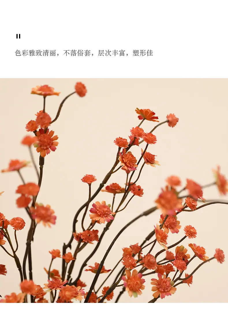 南希单枝满天星_02.jpg