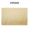 Shengte Couro PVC Jogo Americano Escandinavo Simples Quadrado Moderno Isolado Barra Pó de Cebolinha Dourado Toalha de Mesa Atacado