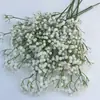 Gipsofila Hierba Más Vendida Gama Alta Boda Arreglo Floral Artificial Accesorios Celebridad de Internet Creativo Decoración de Ventana Flores Artificiales
