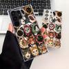 Venta Directa de Fábrica Estilo Coreano Estilo Ins Múltiples Cabezas Avatar de Gato Funda de Teléfono Transparente Magnética Samsungs26Magsafe
