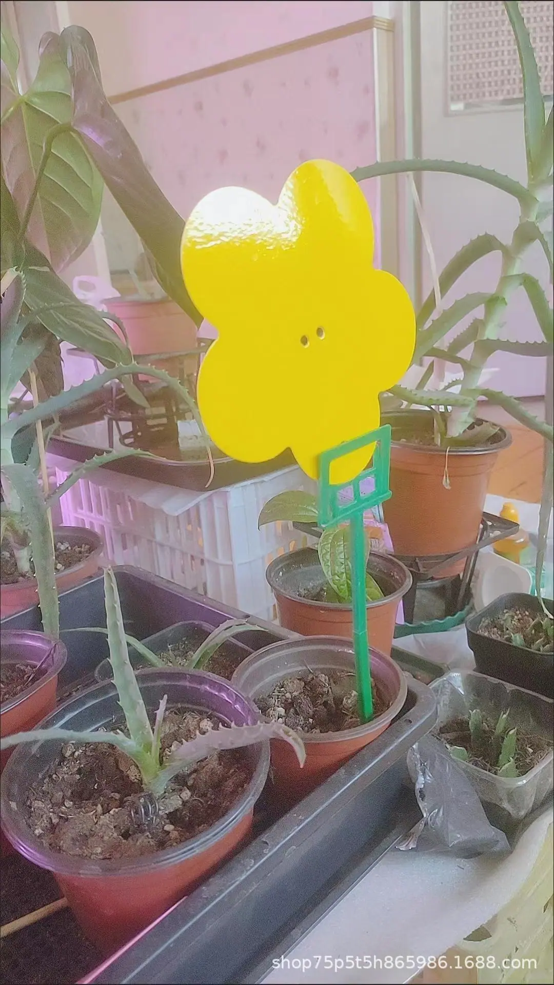 粘虫板支架7.jpg
