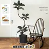 Planta Verde Artificial Black Diamond para Interior Sala de Estar Planta Grande de Piso en Maceta Planta Biónica de Gama Alta Adornos Decorativos Árbol Falso