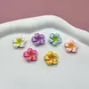 Accesorios DIY de Plumeria Funda para Teléfono Accesorios para el Cabello Pegamento en Crema Resina Venta al por Mayor Pegatinas para Tazas de Agua Hebillas de Zapatos Decoraciones Brillantes