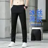 Pantalones Casuales de Seda Delgada de Verano de Alta Gama Italianos para Hombre Rectos Ajustados Ropa Exterior de Negocios Pantalones Largos de Seda de Hielo