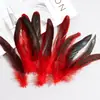 Plumas de Cola de Gallo de Colores 15-20 Manualidades DIY Tocado Indio Performance Juguete para Gato Plumas de Volante