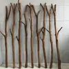 Estilo Nórdico Estilo Bosque Seco Ramas Divisor Tienda de Ropa Barras Colgantes Ventana B&B Soporte para Dosel de Cama Dy Super Valor