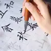 Libro de Práctica de Caligrafía para Principiantes: Rastreo de Letra Pequeña y Mediana, Rastreo de Caligrafía para Principiantes, Cuaderno de Copia para Adultos del Prólogo de Lanting
