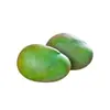 Atacado de Manga Kate Panzhihua Sichuan Entrega 5/ 4,5kg Manga de Casca Verde com Fruta Grande e Polpa Grossa Fruta Fresca