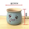 Maceta de flor de suculenta de dibujos animados, cerámica, transpirable, fresca, creativa, expresión linda, para flores y plantas suculentas, maceta para uso en casa