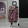 Carrito de Compras de Acero Inoxidable, Carrito Trepador de Escaleras, Carrito Grande Plegable para el Hogar para Personas Mayores, Carrito de Arrastre Manual