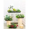 Flores Artificiais Plantas Verdes Conjunto de Divisória Decorativa Flores de Plástico e Seda Decoração de Paisagismo Arranjo de Paisagem Exibição de Janela Interna