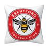 Funda de Almohada con Logo de Equipo de Fútbol de la Premier League Decoración de Fiesta de Bar Almohada Cubierta de Cojín para Sofá Regalo para Fans Venta al por Mayor