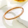 Pulsera de Acero Titanio con Números Romanos y Diamantes para Mujer, Diseño de Nicho Tendencia en Tiktok, Lujo Ligero, Gama Alta, Pulsera de Amistad que no se Desvanece
