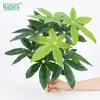 Plantas Verdes Artificiales Paisajismo Plantas Falsas Plantas en Maceta Hoja de Tortuga Árbol del Dinero Palma del Viajero Palma Areca Planta Potos Arreglo Floral de Pared