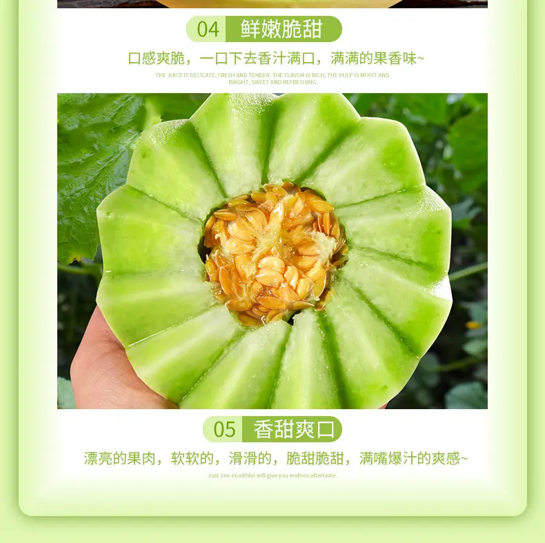 山东玉菇甜瓜 代发3/5/9斤冰淇淋口感脆甜鲜瓜礼盒彩箱新鲜水果详情图5