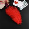 Decoración floral, pluma de avestruz, pluma de color, materiales de embalaje para flores, accesorios para ramos, suministros de floristería, paquete, colocación de flores